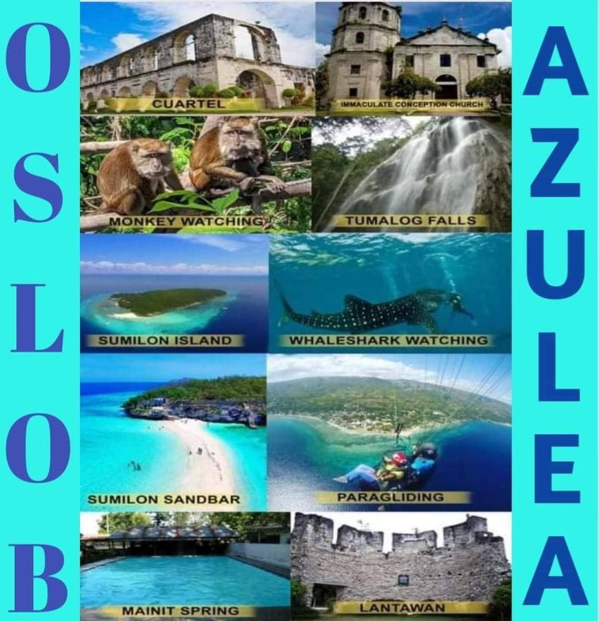 Azulea Lodging House Oslob Extérieur photo